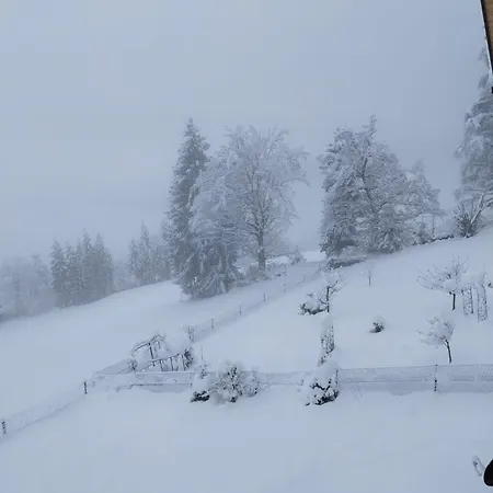 Appartement Mit Aussichthochzehn *