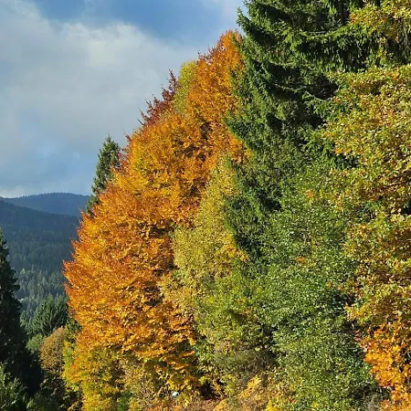 Mit Aussichthochzehn