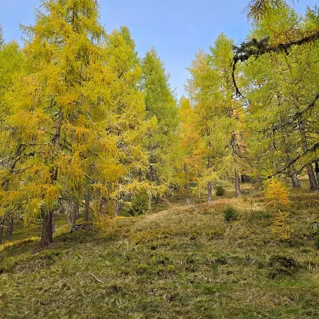 Mit Aussichthochzehn Διαμέρισμα *