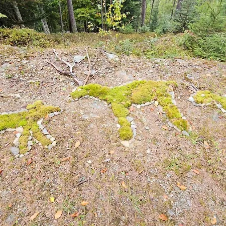 Mit Aussichthochzehn *