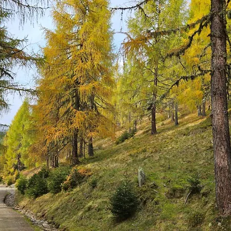 Mit Aussichthochzehn