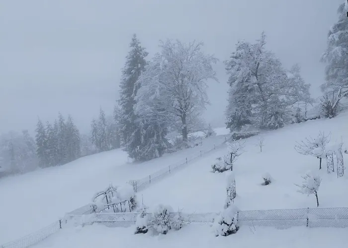 شقة Mit Aussichthochzehn *