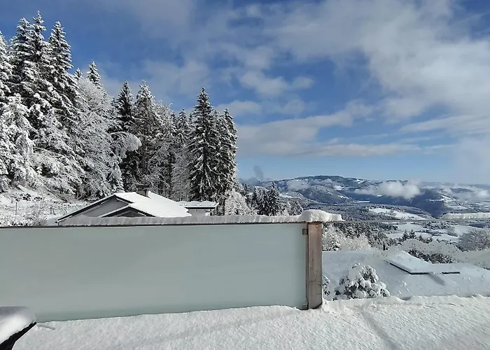 Mit Aussichthochzehn شقة Himmelberg