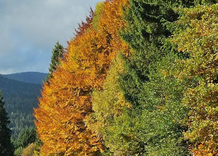 Mit Aussichthochzehn