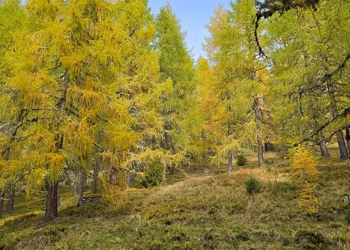 Mit Aussichthochzehn شقة *