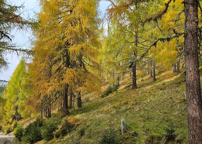 Mit Aussichthochzehn